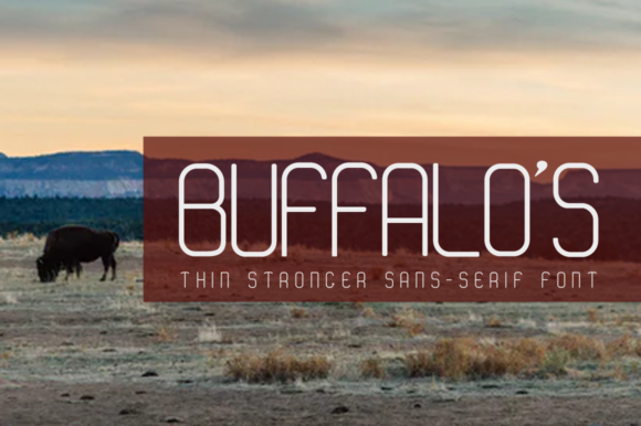 Buffalo s: The Minimal Sans Serif Typeface for Clean Editorial Design