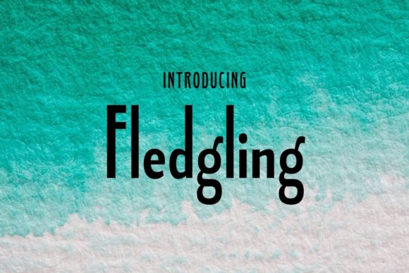 Fledgling Typeface: Elevate Digital Campaigns with Clean, Modern Typography