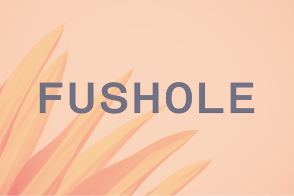 Fushole: The Minimal Sans Serif Font for Polished Brand Identity