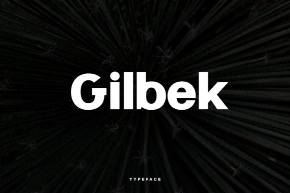 Gilbek Typeface Review: A Minimal Sans Serif for Modern Branding