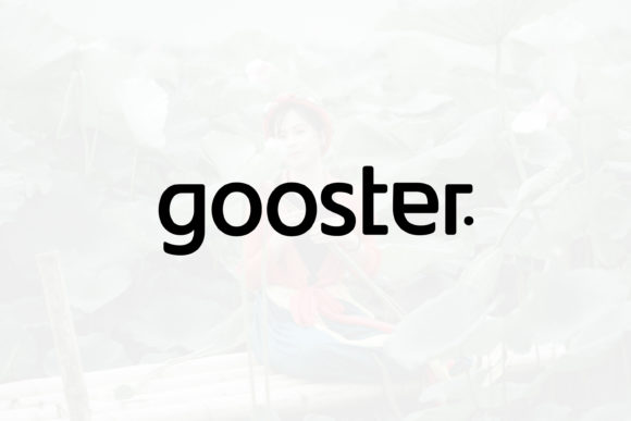 Gooster: The Minimal Sans Serif Typeface for Clean Web Design
