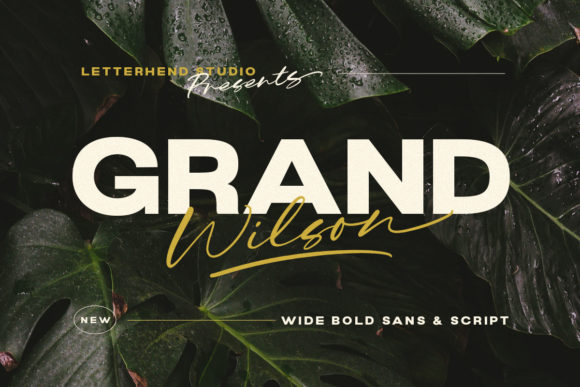 Grand Wilson Typeface: Elevating Editorial Design with Style
