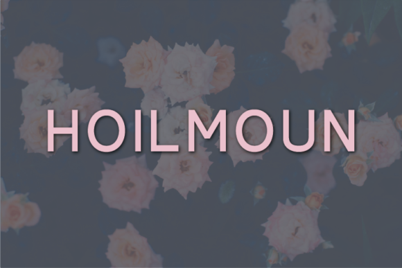 Hoilmoun Review: A Designer’s Take on This Modern Sans Serif