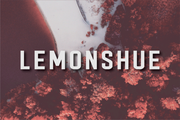 Lemonshue: The Sans Serif Font That Clarifies Your Campaign Message