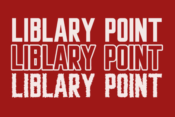 Liblarypoint: A Designer’s Honest Review for Real Projects