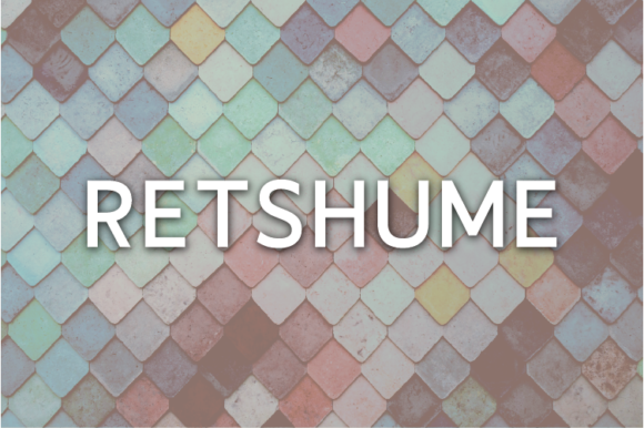 Retshume: The Clean Sans Serif Font for Professional Small Business Branding
