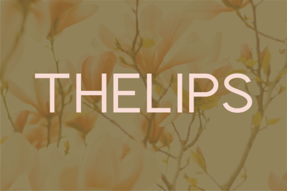 Thelips Typeface: Elevating Handmade Brand Identity