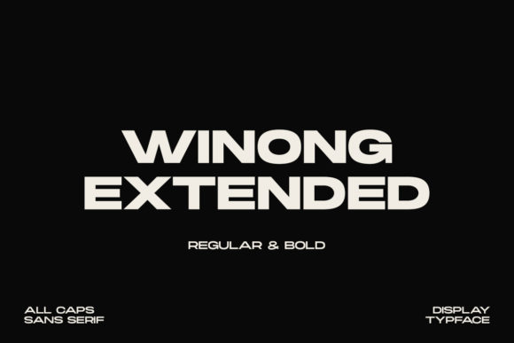 Winong Extended: The Minimal Sans Serif Typeface for Modern Web Design